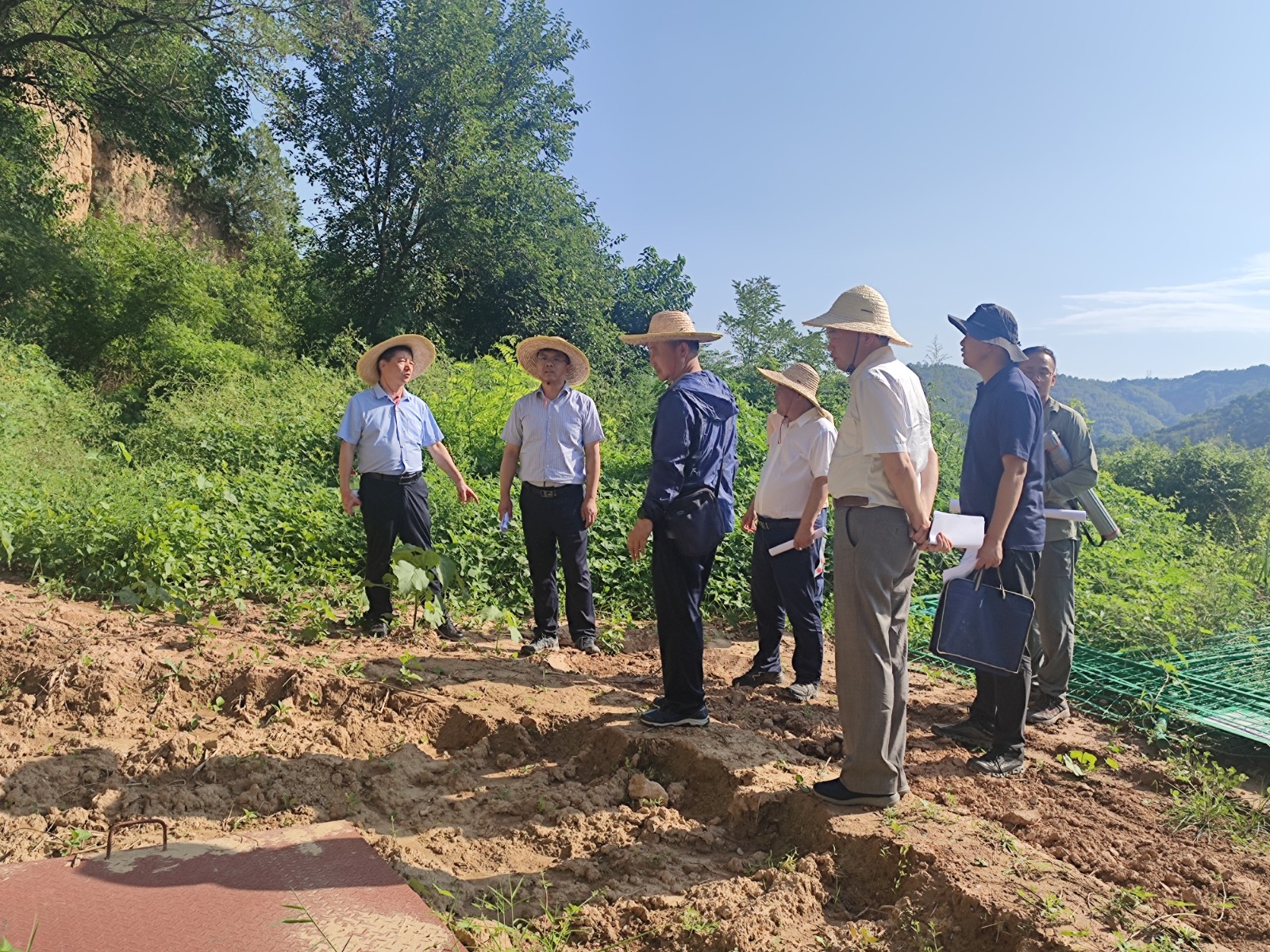 1693556440137168.jpg 1693556440137168.jpg